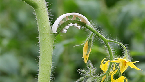 Bato Truss support 1002 6mm