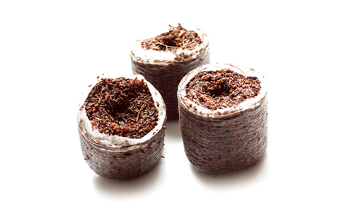 RioCoCo Coir OCBP 2346 Plugs